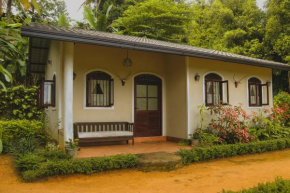 Paddy View Cottage